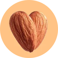 almond nuts