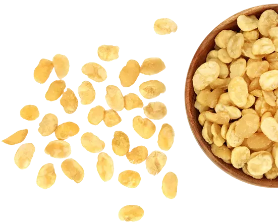 golden gate processes fava beans