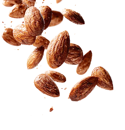 golden gate processes almonds