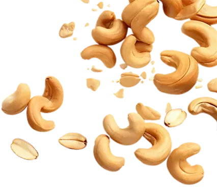 golden gate processes cashews