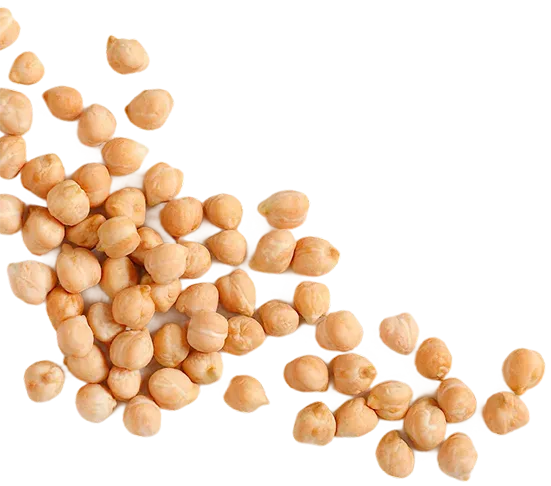 golden gate processes fava chickpeas